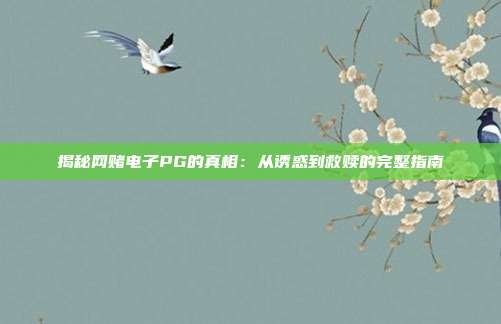 揭秘网赌电子PG的真相:从诱惑到救赎的完整指南