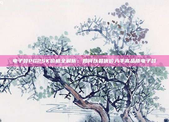 电子鼓PG25K价格全解析：如何以最优价入手高品质电子鼓