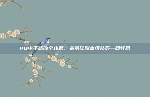 PG电子修改全攻略：从基础到高级技巧一网打尽