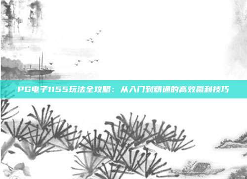 PG电子1155玩法全攻略:从入门到精通的高效赢利技巧