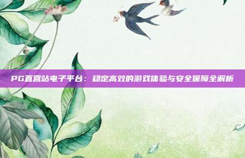 PG直营站电子平台：稳定高效的游戏体验与安全保障全解析