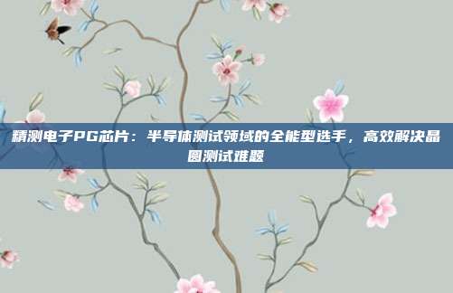 精测电子PG芯片：半导体测试领域的全能型选手，高效解决晶圆测试难题