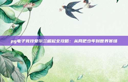 pg电子竞技爱尔兰崛起全攻略：从网吧少年到世界赛场