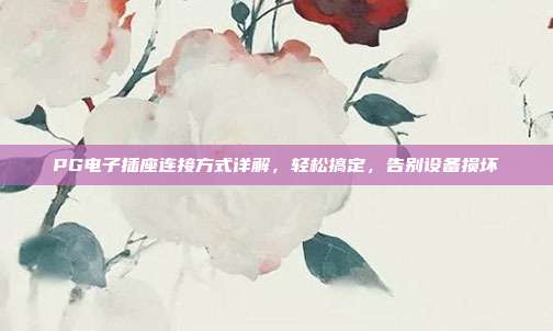 PG电子插座连接方式详解,轻松搞定,告别设备损坏