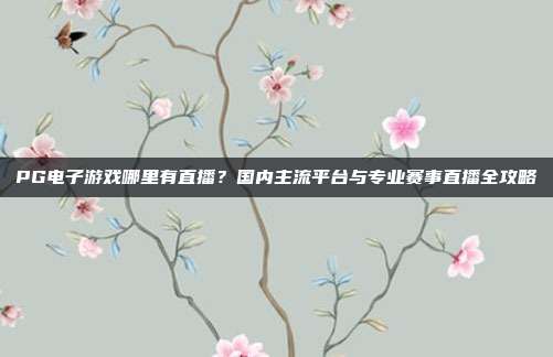 PG电子游戏哪里有直播?国内主流平台与专业赛事直播全攻略
