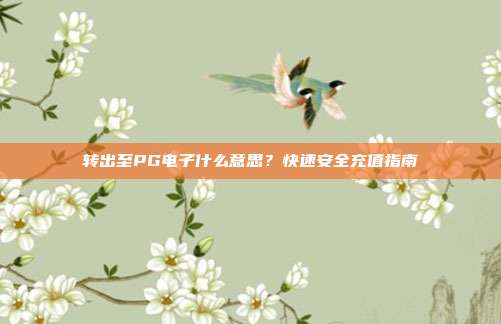 转出至PG电子什么意思?快速安全充值指南